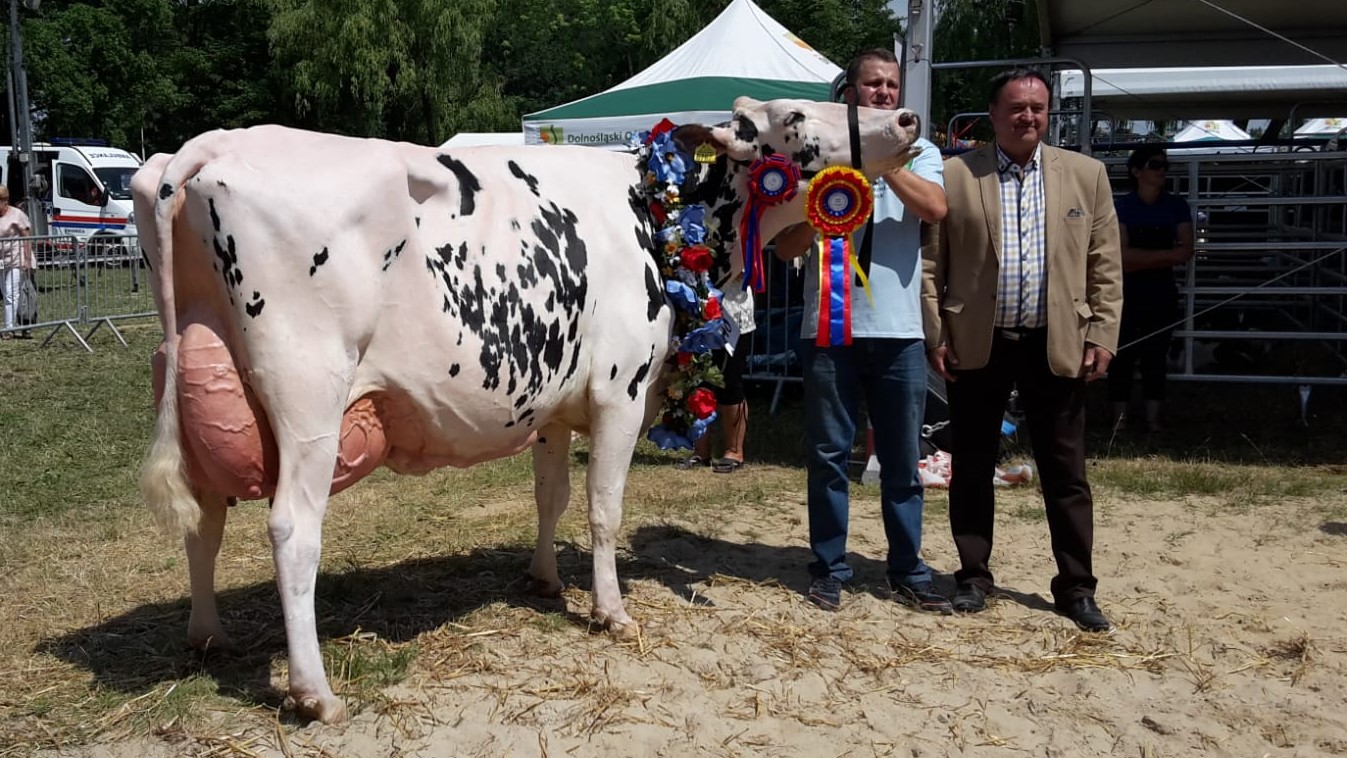 Superchampion Książ 2018