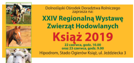 Książ 2019