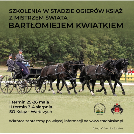 szkolenia mistrz