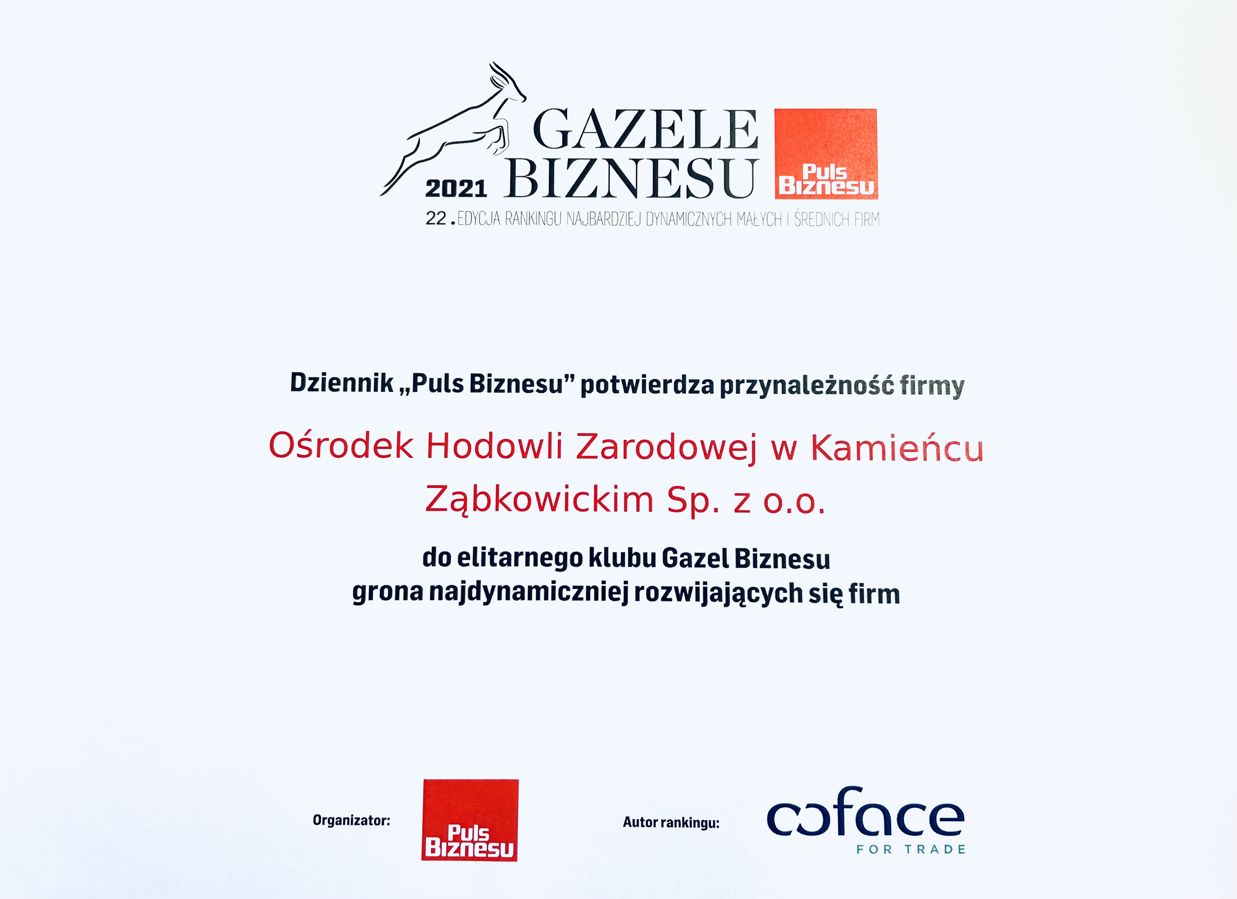 Gazele Biznesu