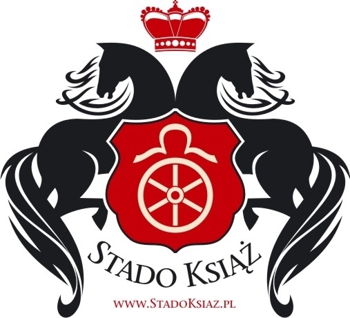 STADO KSIAZ