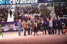 Cavaliada_19